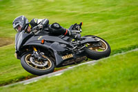 anglesey;brands-hatch;cadwell-park;croft;donington-park;enduro-digital-images;event-digital-images;eventdigitalimages;mallory;no-limits;oulton-park;peter-wileman-photography;racing-digital-images;silverstone;snetterton;trackday-digital-images;trackday-photos;vmcc-banbury-run;welsh-2-day-enduro